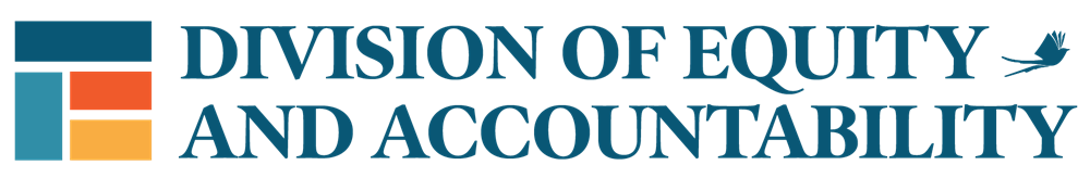 Division of Equity and Accountability 